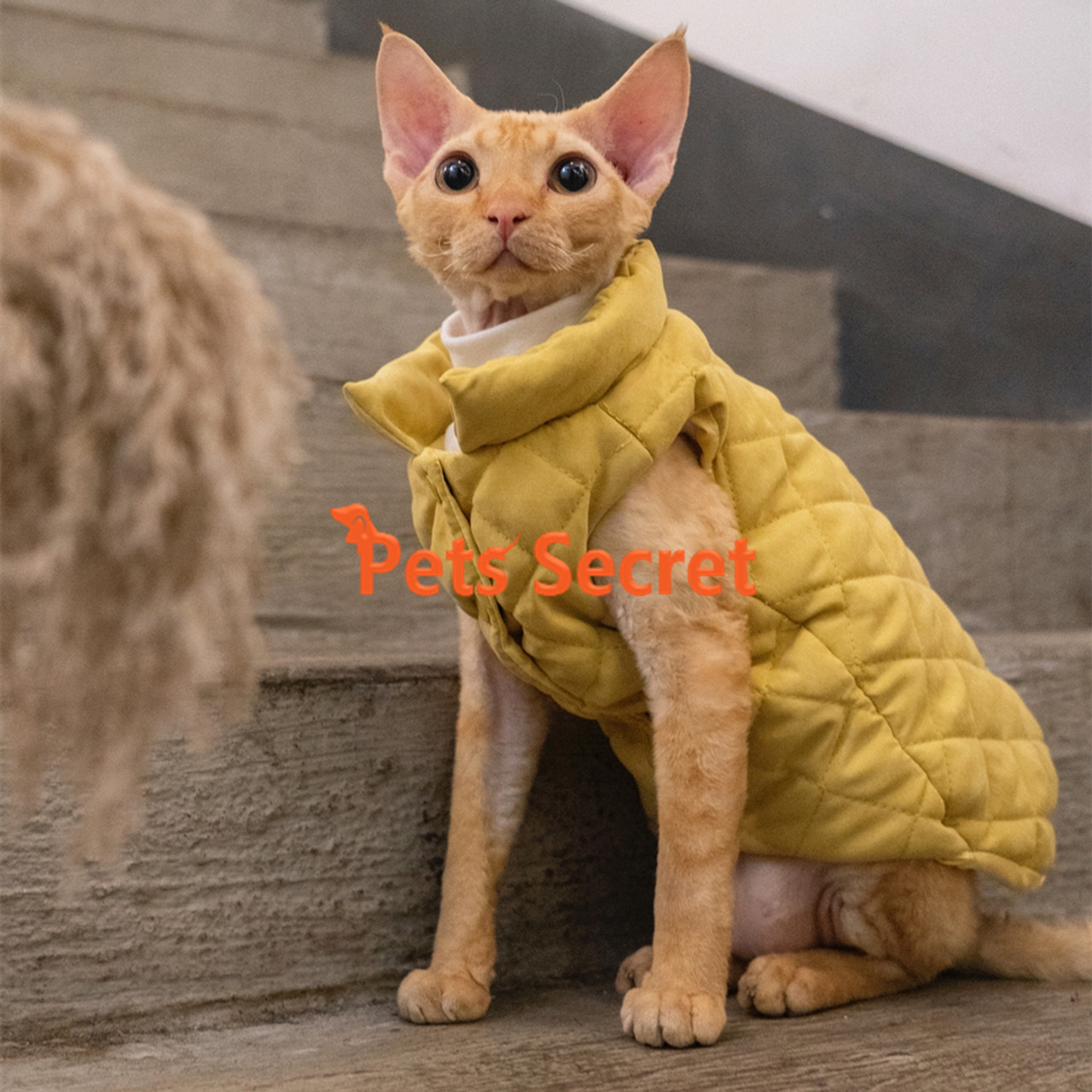 NELIT Sphynx Cat Clothes Winter Thickened Plus Velvet Warm Coat Cute Cat  Clothing-Pink_L