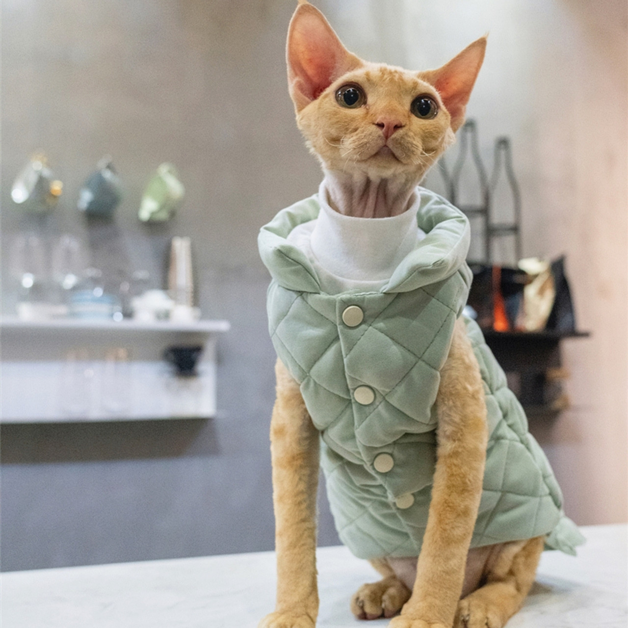 Green Waffle Thickened Elastic Warm Cotton German Cat Clothes Hairless Cat  Sweater