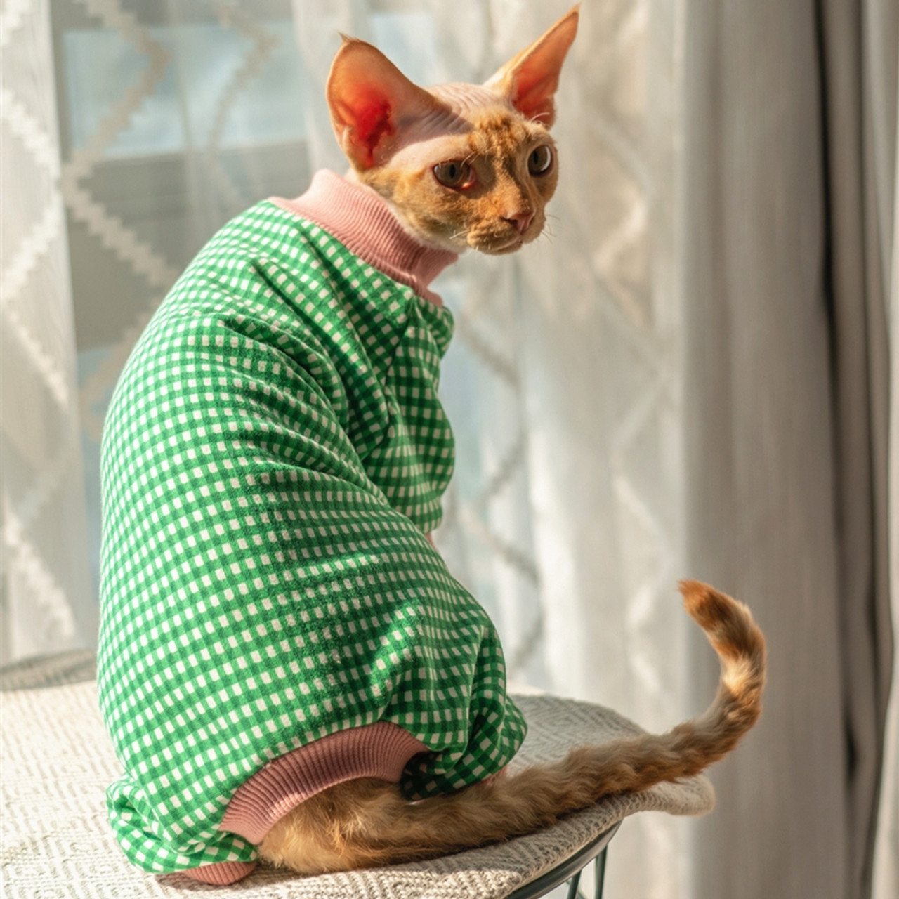 Sphynx Cat Clothes Four Legs