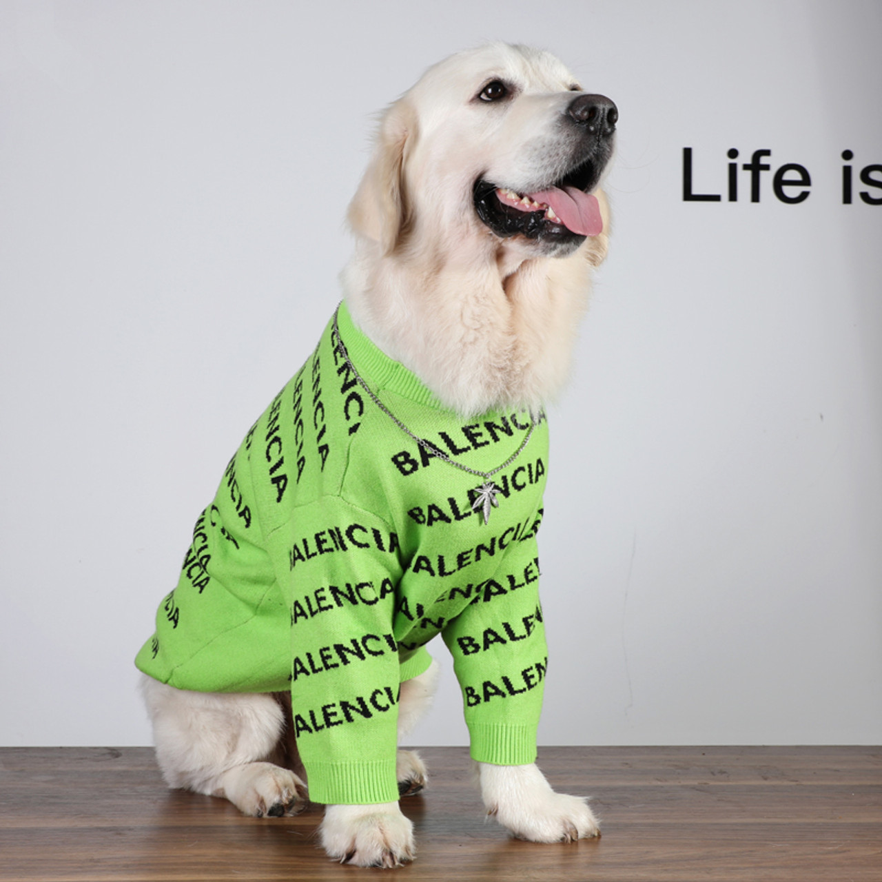 Dog Hoodies for Large Dogs, Warm Dog Coat Outfits Large Dog Clothes Winter  Dog Fleece Sweater, Border Collie Clothes, Great Pyrenees Clothes