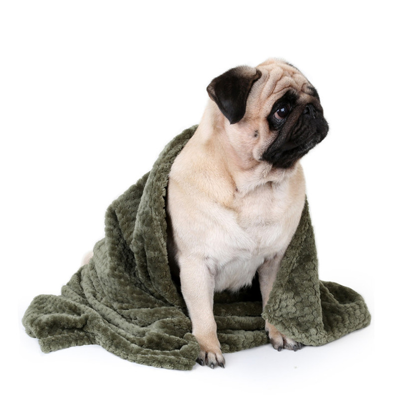 doggie bath towels