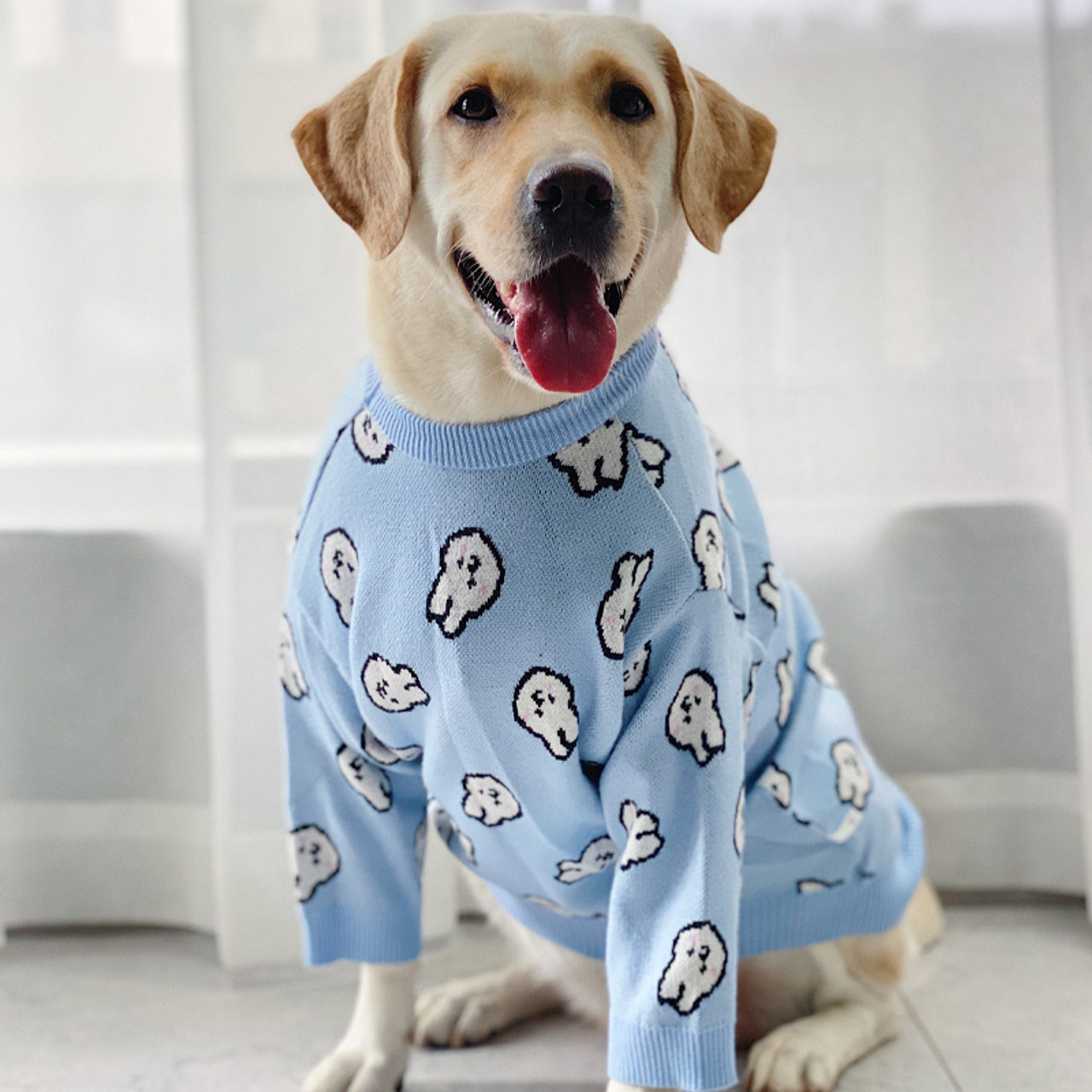 lab dog clothes