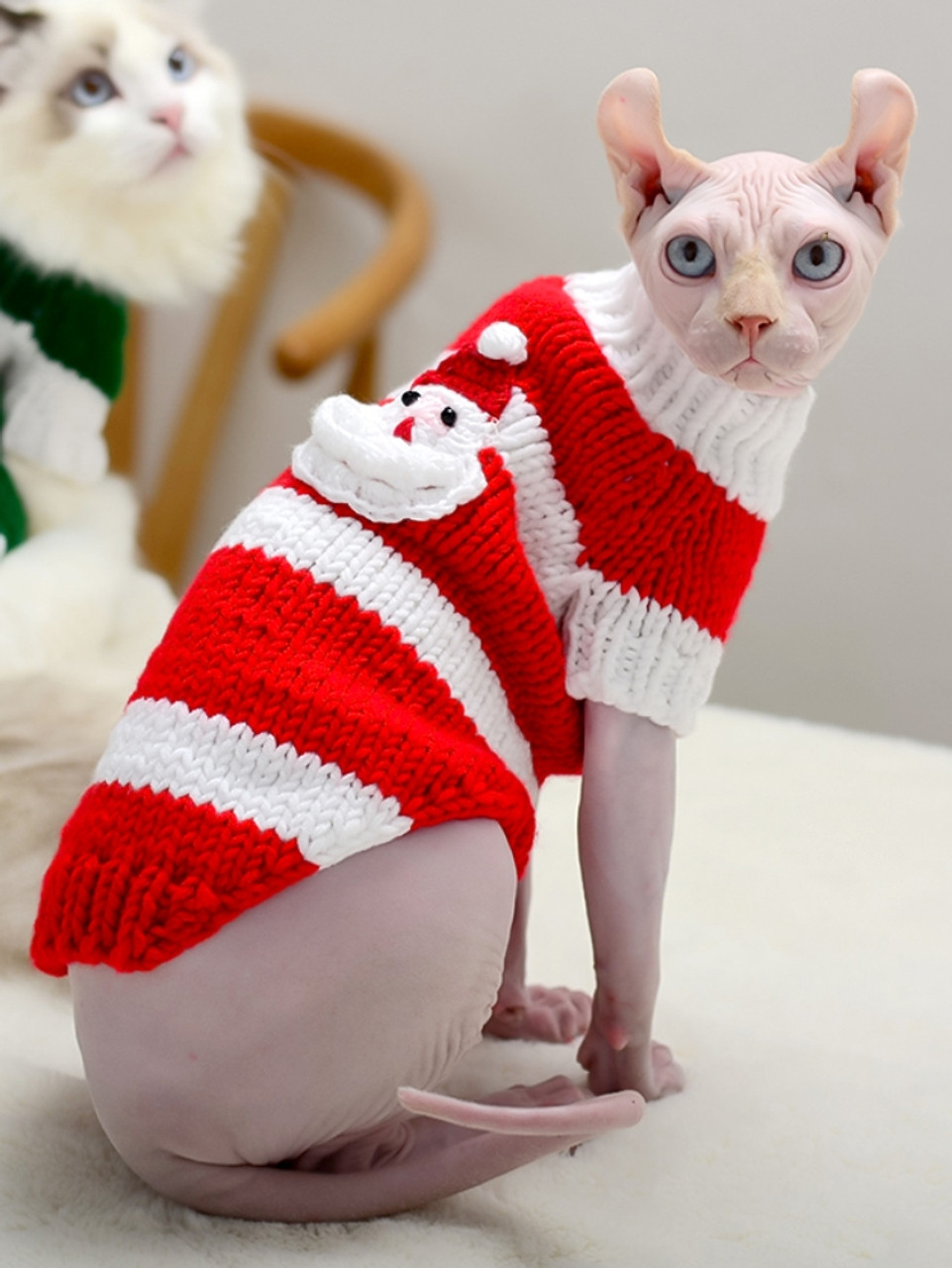  Cat Clothes Sweater for Kitten Small Dogs Cats Winter Knit  Clothing Warm Soft and High Stretch, fit Pet Male Female : Pet Supplies