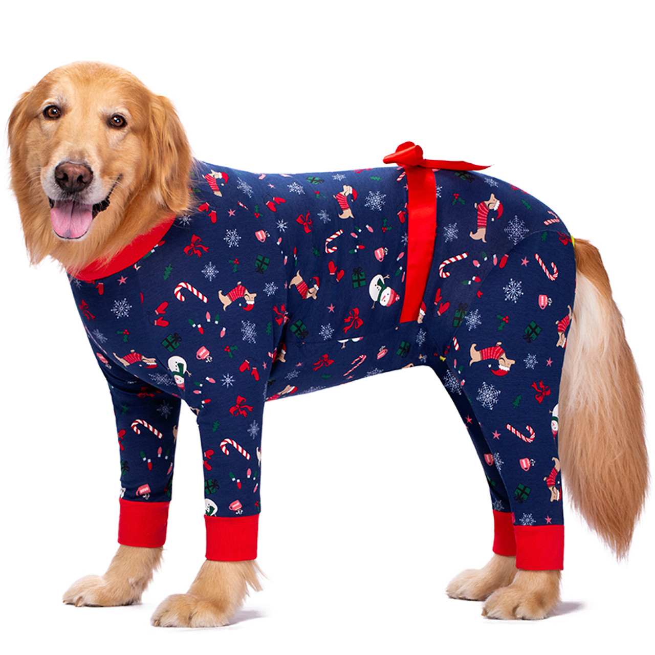 Labrador 2025 christmas pajamas