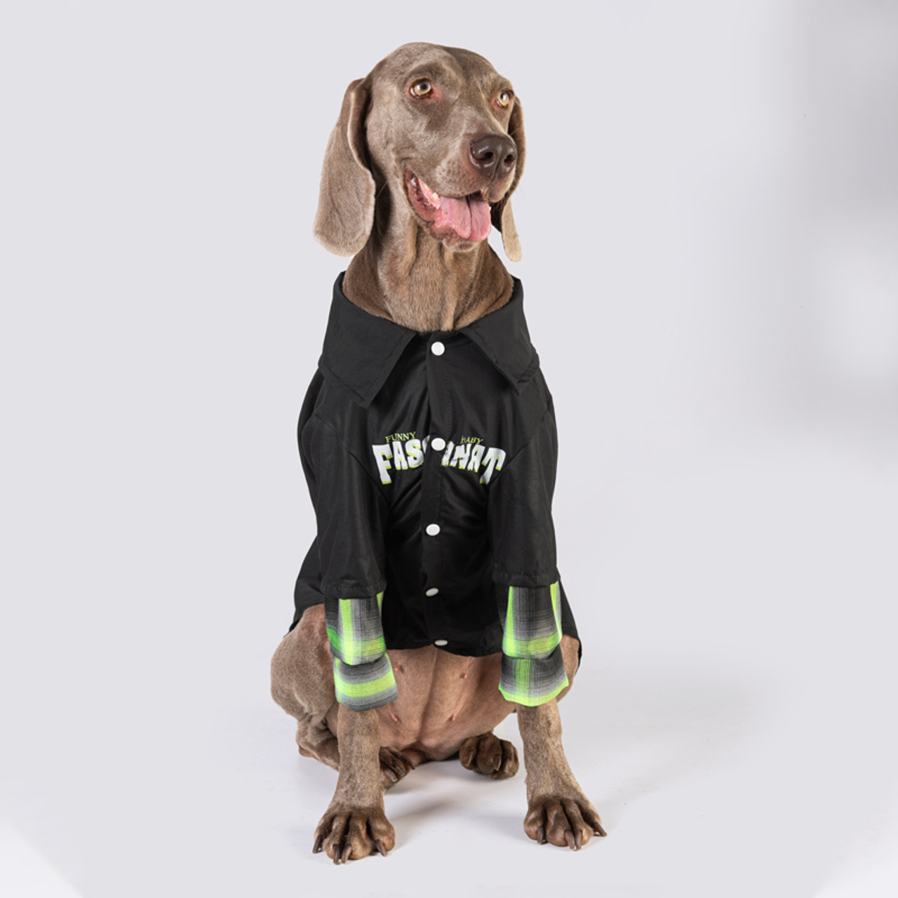 Black Big Dog Clothes Medium And Large Dog Shirt Golden Retriever