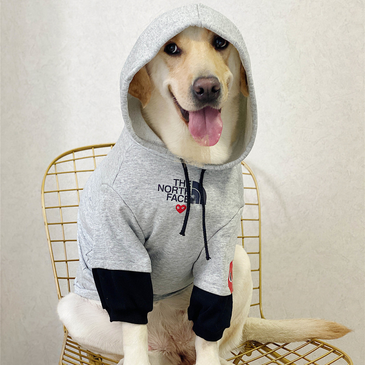 Dog Clothes For Large Dogs Pure Cotton T-Shirt Labrador Golden Retriever  Satsuma Anti-Shedding