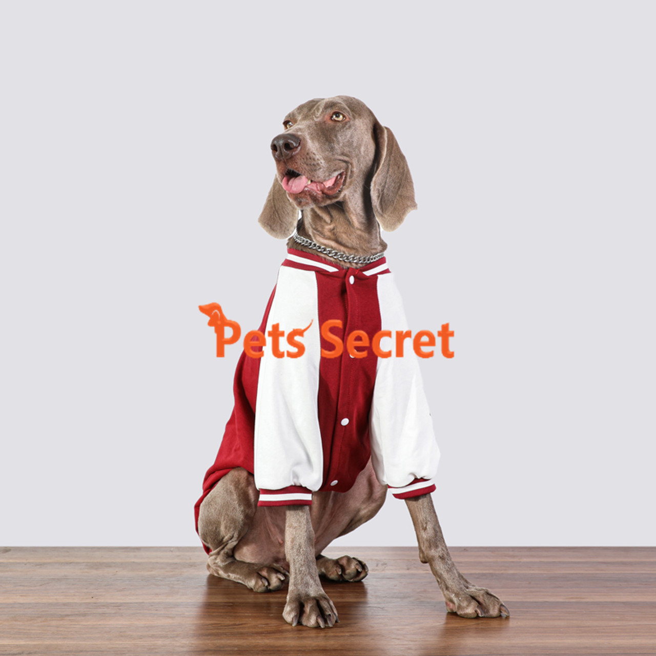 Large Dog Autumn Style Golden Retriever Pet Clothes Labrador Giant  Anti-Hair Shed Baseball Uniform