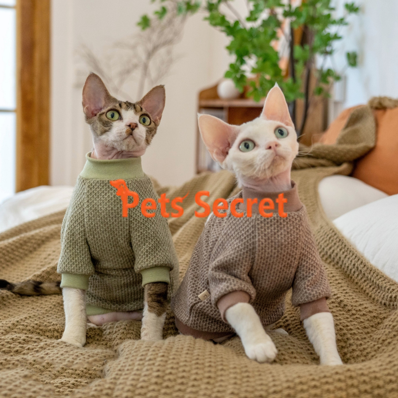 Designer Cat Clothes - Fitwarm