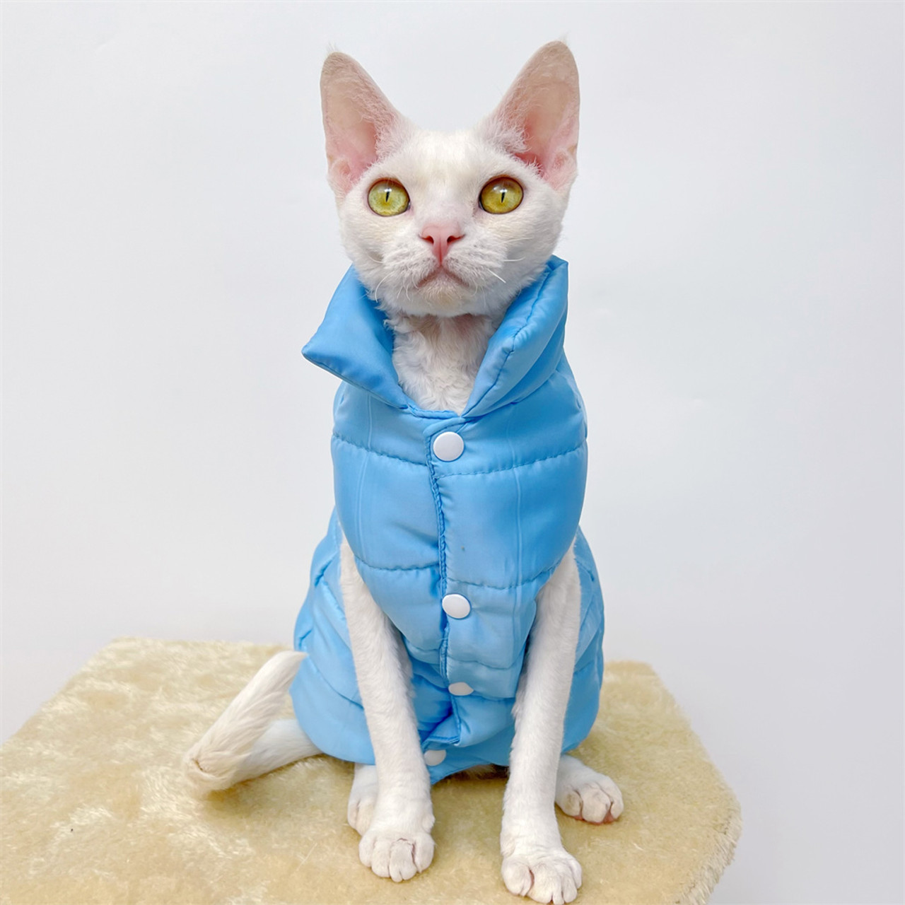 sphynx cat blue clothes DE velvet fabric size S (brand new)