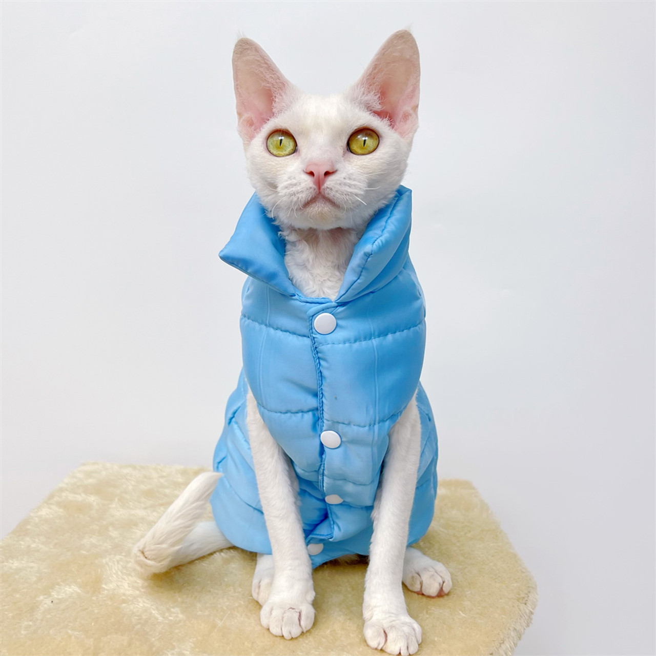 WMXING CAT CLOTHES, SPHYNX CAT CLOTHES, cotton high collar cat clothing,  tie dyeing craft cat clothes, elastic cat clothes-blue_M