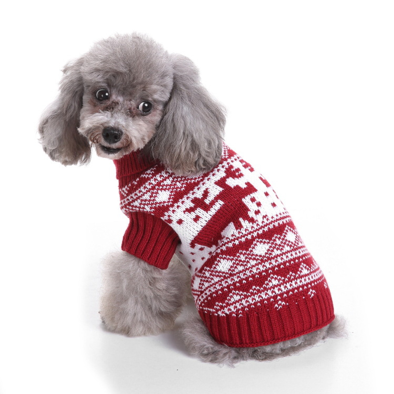 pet christmas sweater