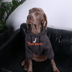 GIANT DOG CLOTHING & ACCESSORIES (Free Shipping)