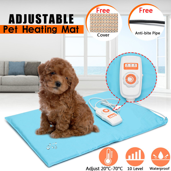 electric dog mat