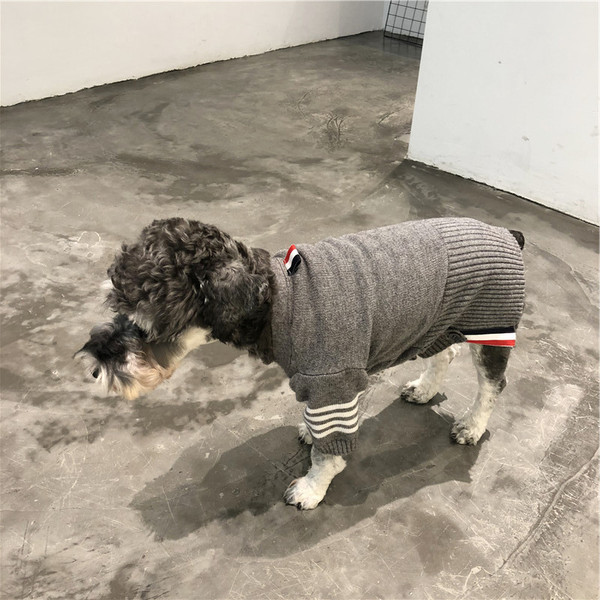 unique dog clothes