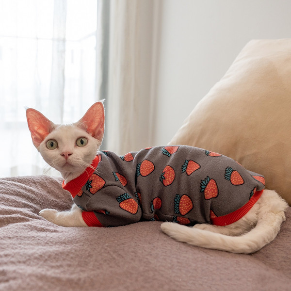 strawberry cat sweater