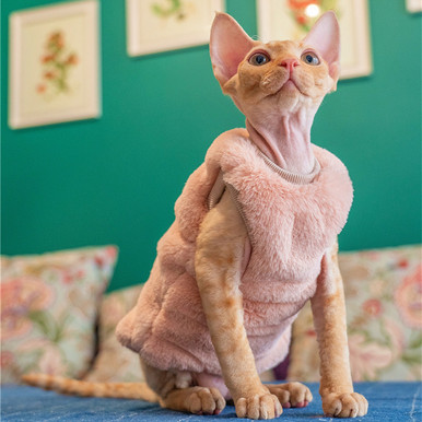 Sphynx Hairless Cat Clothes Solid Soft Faux Fur Sweater Outfit Cute  Pullover Autumn Winter Fashion Turtleneck Sphynx Clothes Kitten Cat Apparel