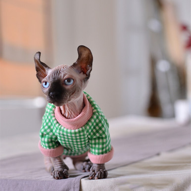 Green Waffle Thickened Elastic Warm Cotton German Cat Clothes Hairless Cat  Sweater