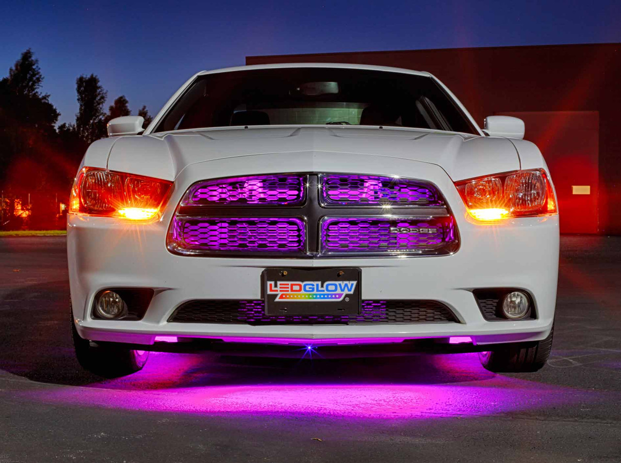 LEDGlow  Pink Wireless LED Car Underbody Lighting Kit