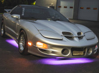 Purple LED Slimline Underbody Lights