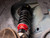 Sport+ Coilovers - SKU# S196