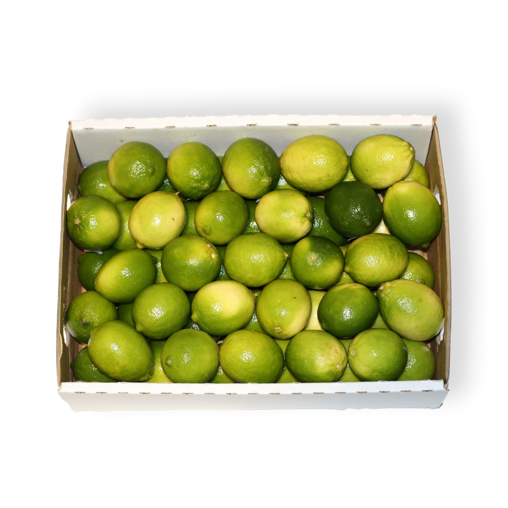 LIMES TRAY (5KG)