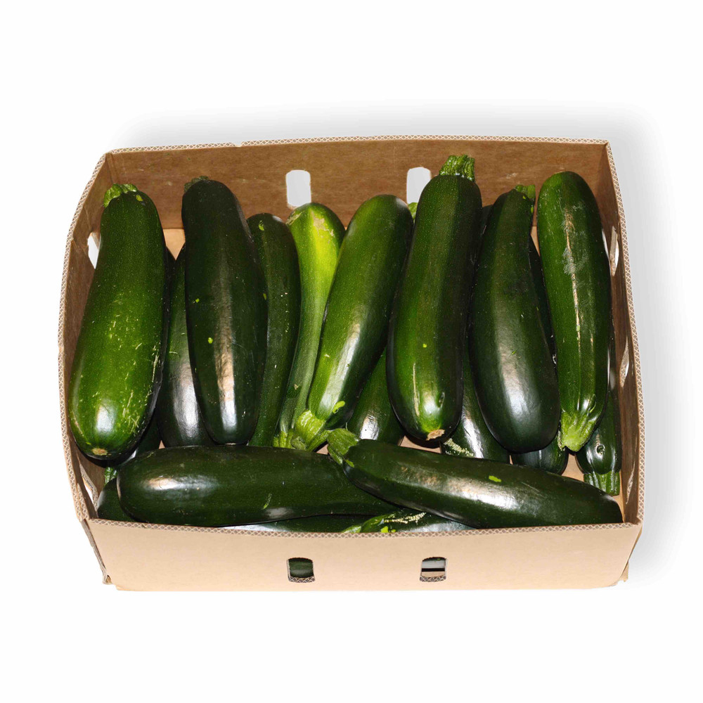 ZUCCHINI GREEN LARGE (10KG)