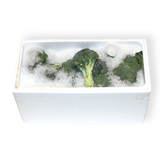 BROCCOLI (8KG)