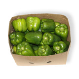 CAPSICUM GREEN (8KG)