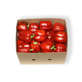 CAPSICUM RED (8KG)
