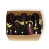 EGGPLANT CASE