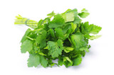 PARSLEY ITALIAN