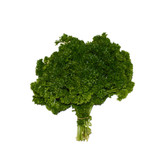 PARSLEY