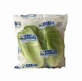 COS LETTUCE DUET (TWIN PKT)