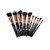 La Canica 10 In 1 Makeup Brush Set With Travel Friendly Container F369-4442730168406