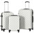 Hardcase Trolley Set 3 pcs Bright Silver ABS A949-91887