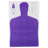 Action Target High Visibility Indoor/Outdoor Shooting Target B-27E-PR-100, 100-Pack