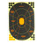 Birchwood Casey Shoot-N-C Handgun Targets - 12x18 inches, Pack of 5