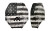 AXIL MX Plate MX-PLT-FREE – Premium Multi-Color Earmuff Replacement Plates for MX PRO, MX Electronic, and MX Passive Hearing Protection