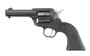 Ruger Wrangler .22LR