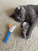Kristy's Organic Catnip Mouse