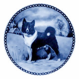 Karelian Bear Dog