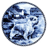 Norfolk Terrier dbp07325
