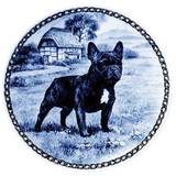 French Bulldog dbp07337
