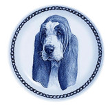 Basset Hound dbp75636