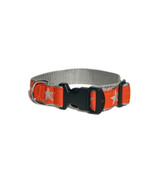 Starfish -- Orange (Collars & Martingales)