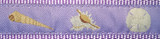 Seashells -- Lilac (Harnesses)