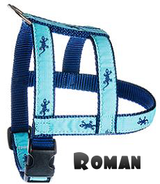 Gecko -- Navy on Light Teal