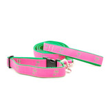 Palm Tree on Pink (Narrow Harness)