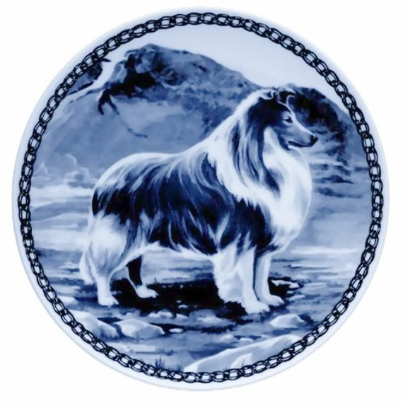 Shetland Sheepdog dbp07107