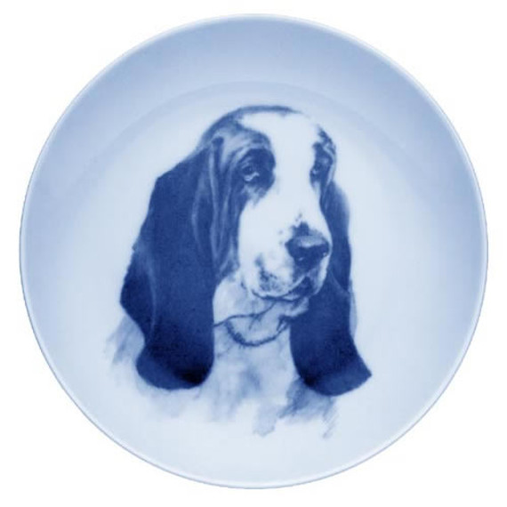 Basset Hound dbp07525